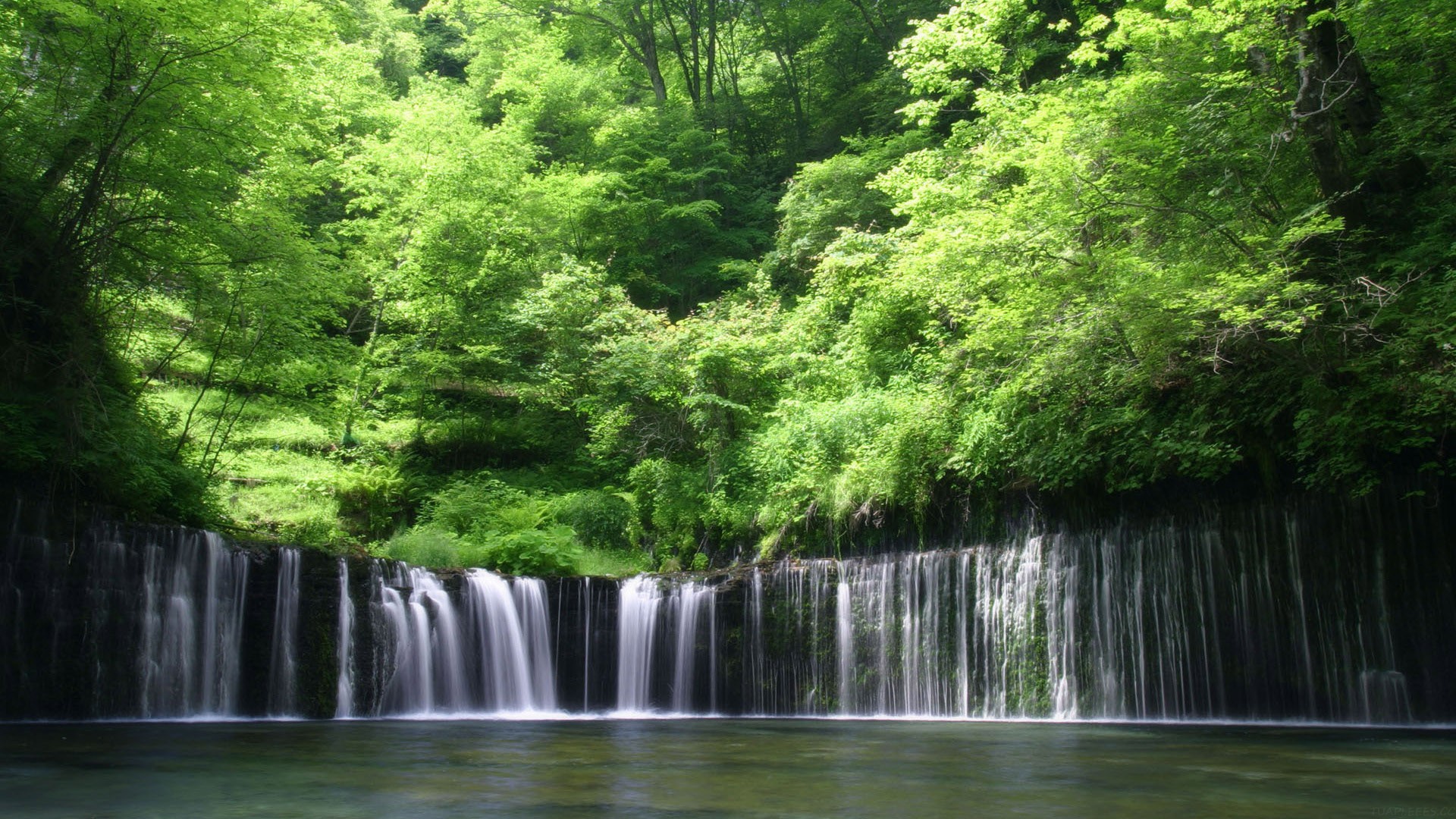 泰山景区营销策划方案(泰山景区营销策划方案模板范文)