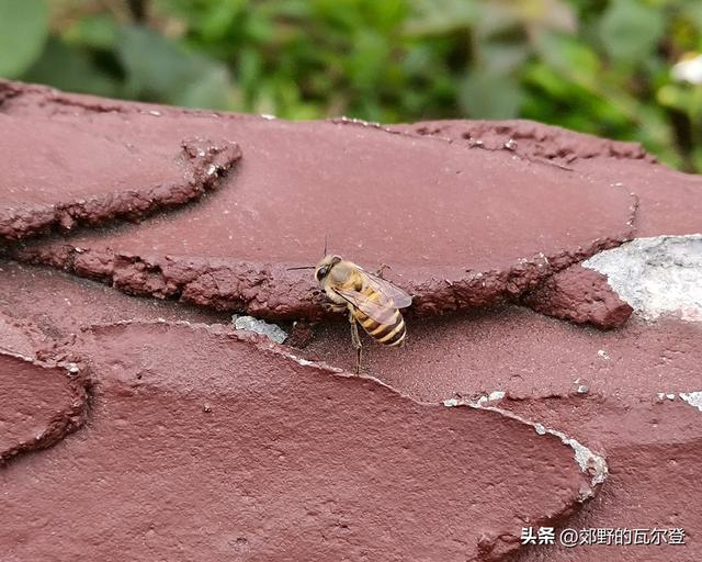 用怎么造句二年级简单大自然的句子，用怎么造句二年级简单大自然的句子呢？